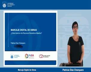 Marcaje Digital de Obras