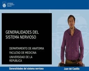 Generalidades del sistema nervioso