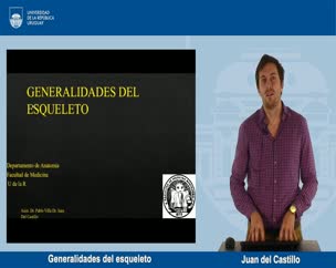 Generalidades del esqueleto