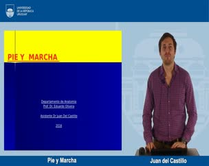 Pie y Marcha 