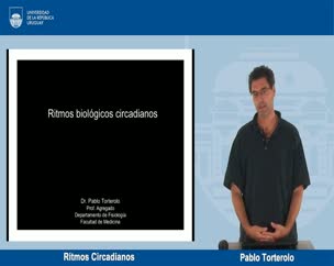 Rítmos Circadianos