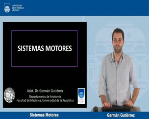 Sistemas Motores