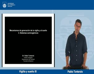 Mecanismos de generación de la vigilia y el sueño III