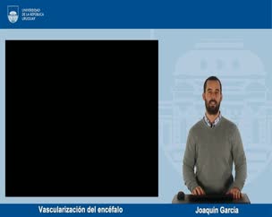 Vascularización del encéfalo