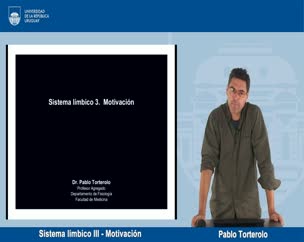 Sistema límbico III - Motivación