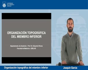 Organización topográfica del miembro inferior