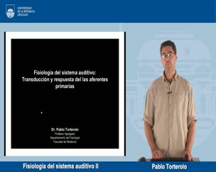 Fisiología del sistema auditivo II