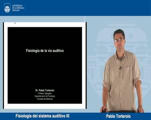 Fisiología del sistema auditivo III