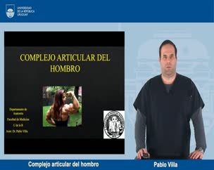 Complejo Articular del Hombro