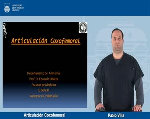 Articulación Coxofemoral