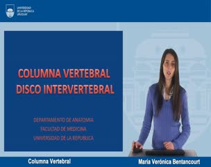 Columna Vertebral
