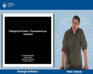 Fisiología de la retina I
