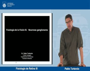 Fisiología de la retina III