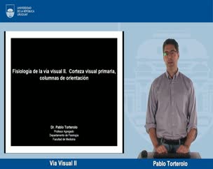 Via Visual II