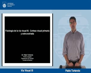 Via Visual III