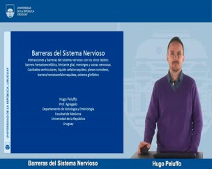 Barreras del Sistema Nervioso 