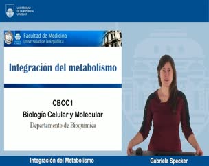Integración del Metabolismo
