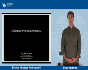 Sistema Nervioso Autonomo II