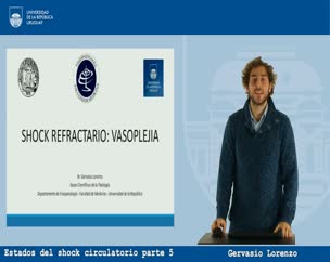 Shock Circulatorio parte 5: Shock Refractario - Vasoplejia