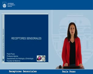 Receptores Sensoriales