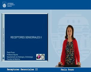 Receptores Sensoriales parte II