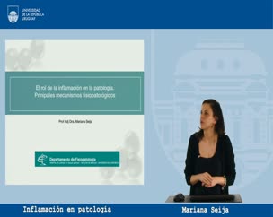 Rol de la Inflamación en la patología: principales mecanismos fisiopatológicos 