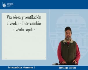 Ventilación Alveolar: Intercambios Gaseosos parte I