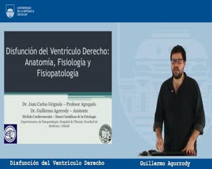 Disfunción del Ventrículo Derecho: Anatomía, Fisiología y Fisiopatología