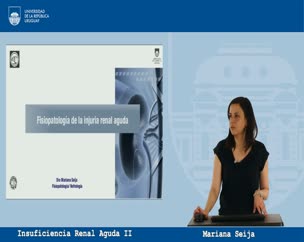 Insuficiencia Renal Aguda parte  II