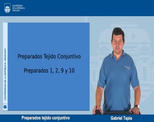 Preparados tejido conjuntivo