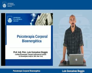 Psicoterapia Corporal Bioenergética