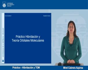 Práctico - Hibridación y TOM