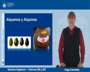 Quimica Orgánica - Teóricos XI y XII