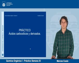 Química Orgánica I - Práctico Semana XI 