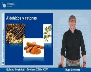 Química Orgánica I - Teóricos XXV y XXVI