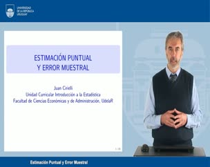 Estimación puntual y error muestral