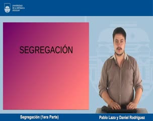 Segregación - Polimedias Estudiantes