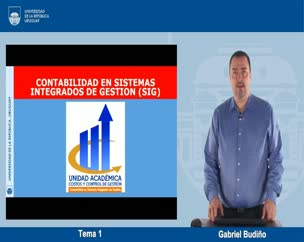 Contabilidad en SIG - Tema 1