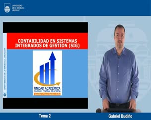 Contabilidad en SIG - Tema 2