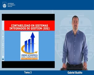 Contabilidad en SIG - Tema 3 