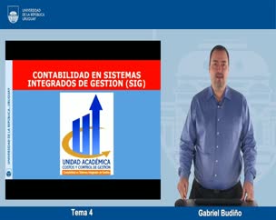 Contabilidad en SIG - Tema 4