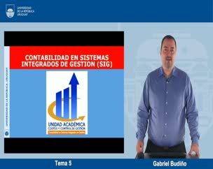 Contabilidad en SIG - Tema 5