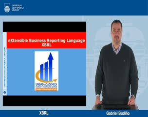 XBRL
