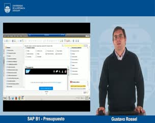 SAP B1 - Presupuesto