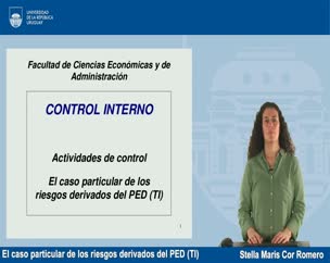 El caso particular de los riesgos derivados del PED (TI)
