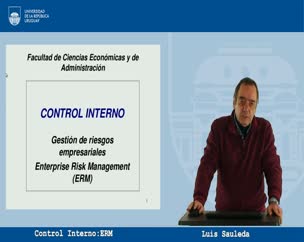 Control Interno: ERM