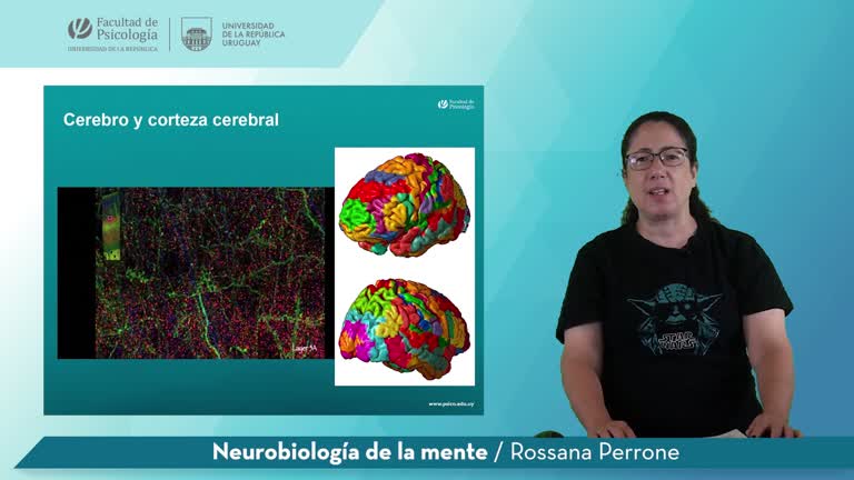 Neurobiología de la mente