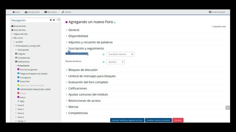 Foro: Creación y opciones generales